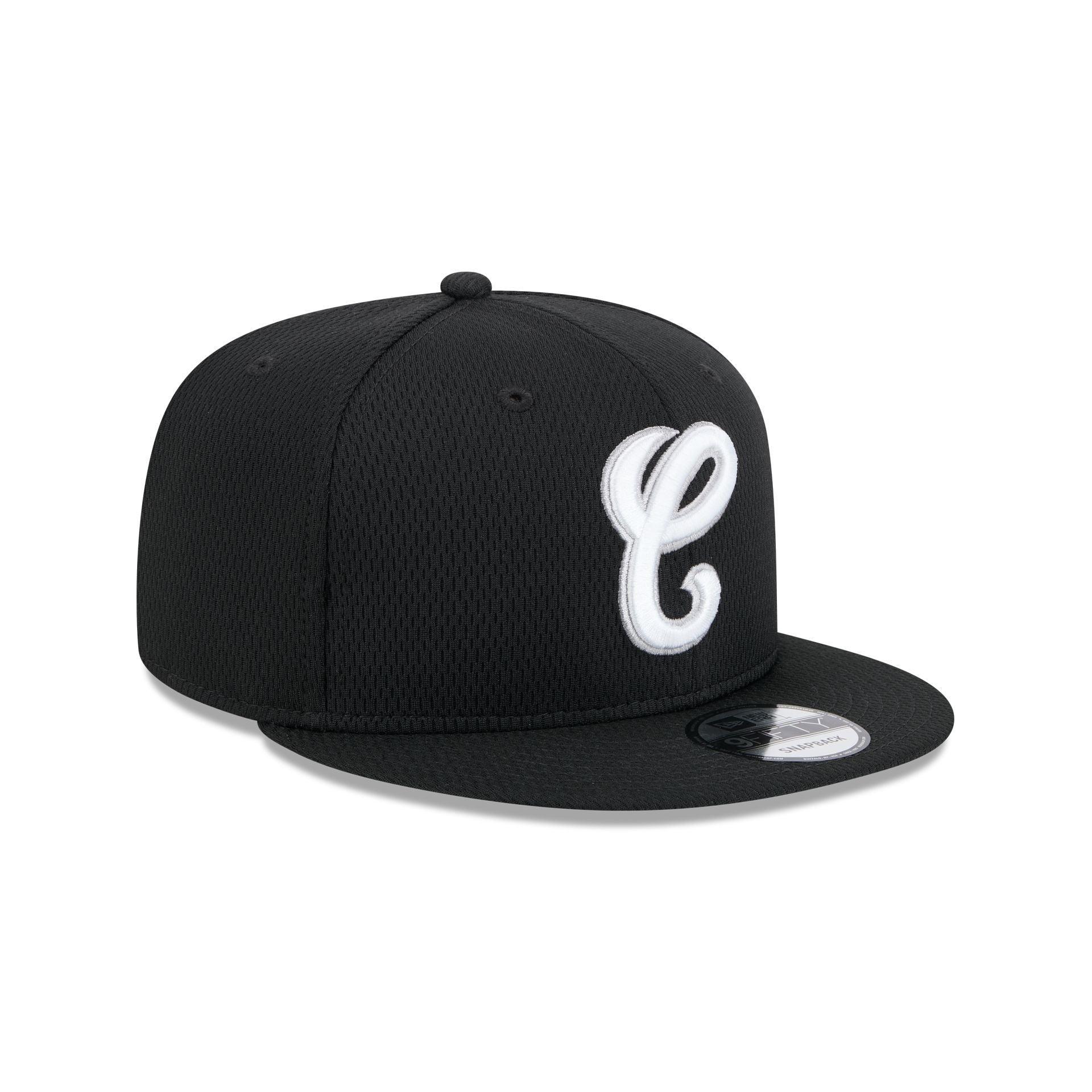 Alpha Industries x Philadelphia Eagles Historic Green 9FIFTY Snapback Hat Male Product Image