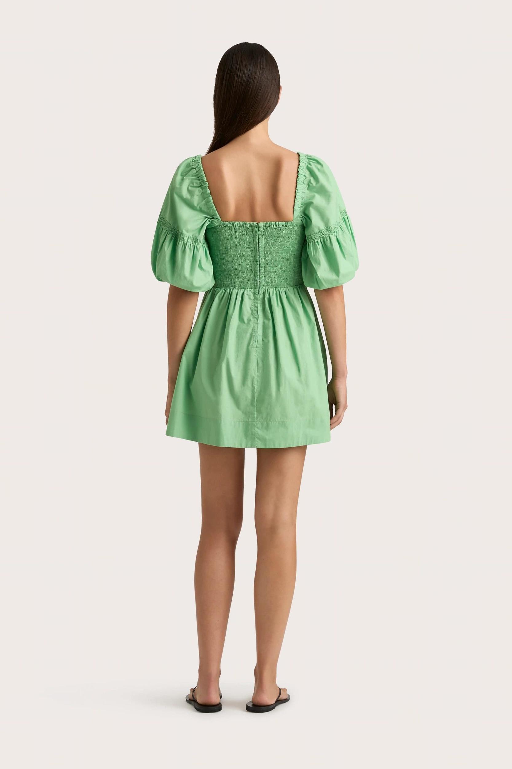 Belladonna Mini Dress Apple - Final Sale Product Image