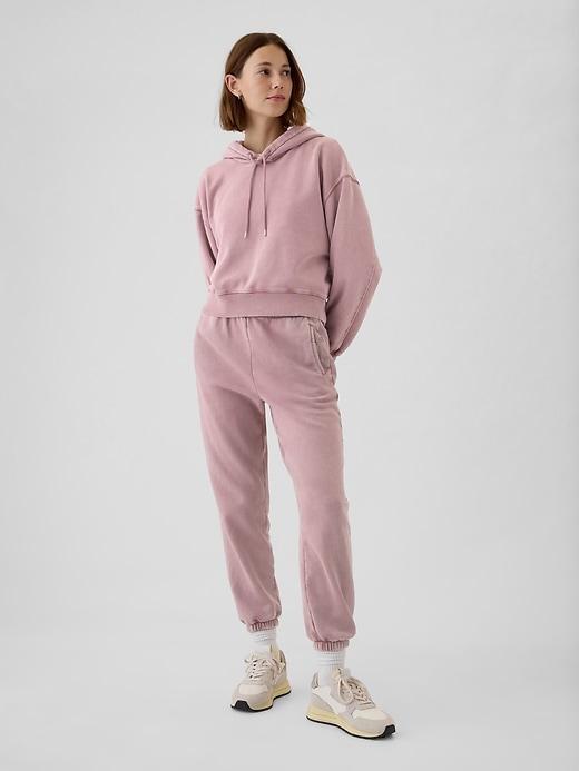 VintageSoft Cropped Hoodie Product Image