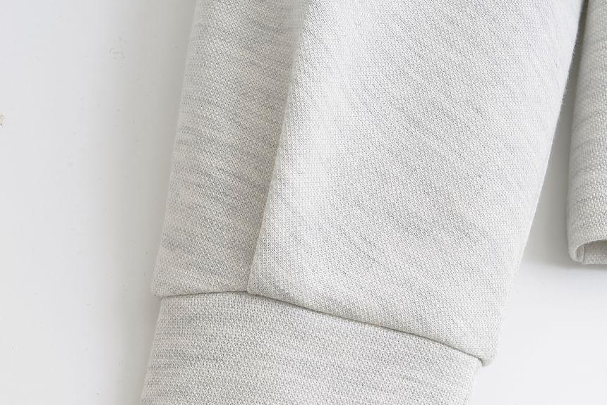 Plain Polo Sweatshirt Product Image