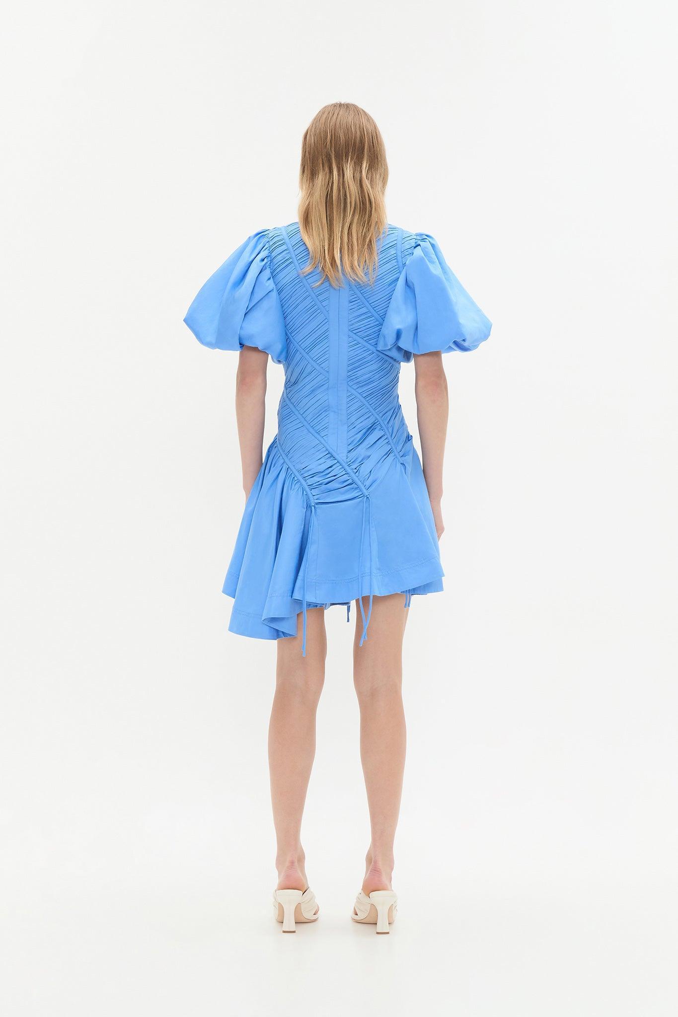 Wisteria Mini Dress Product Image