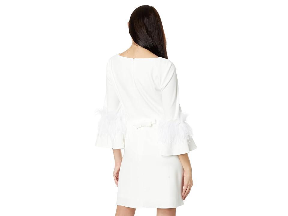 Adrianna Papell Bateau Neck Feather Trim Sheath Dress Product Image