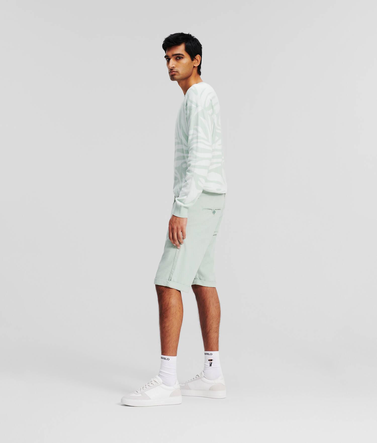 CHINO SHORTS Product Image