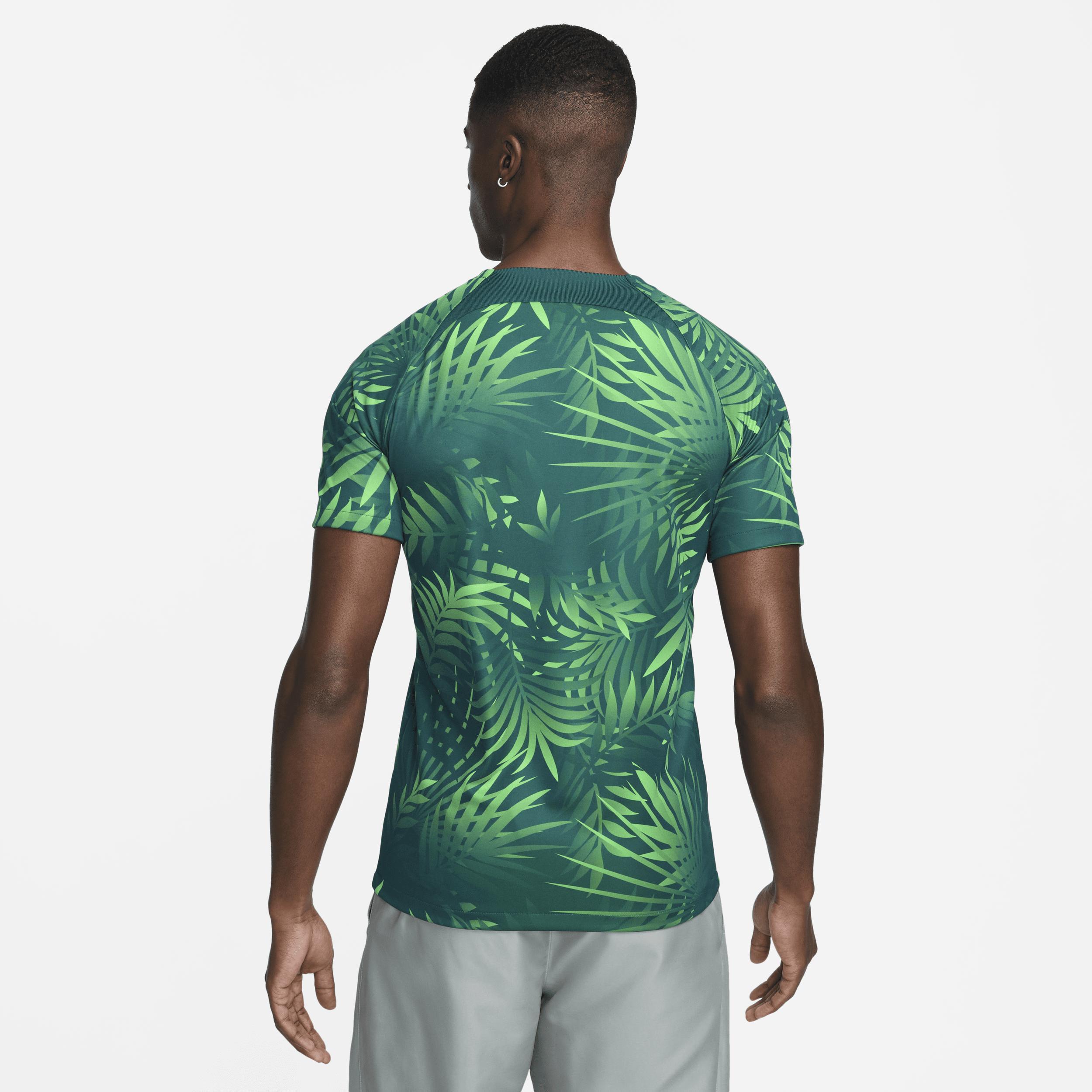 Mens Nike Green Brazil Womens National Team 2023 Academy Pro Pre-Match Jersey - Green Product Image