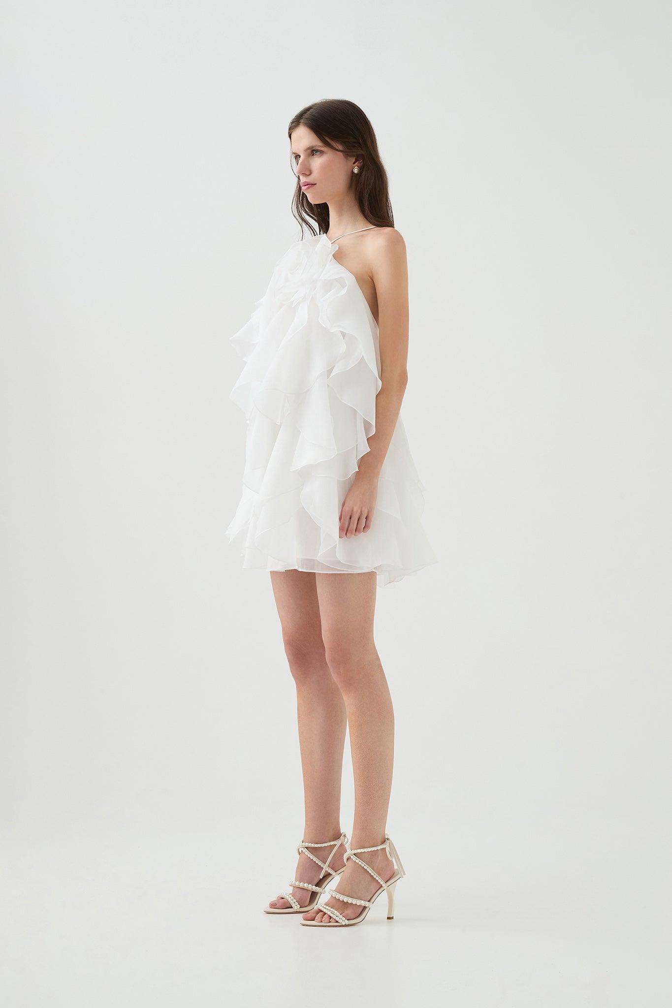Pandorea Layered Mini Dress Product Image