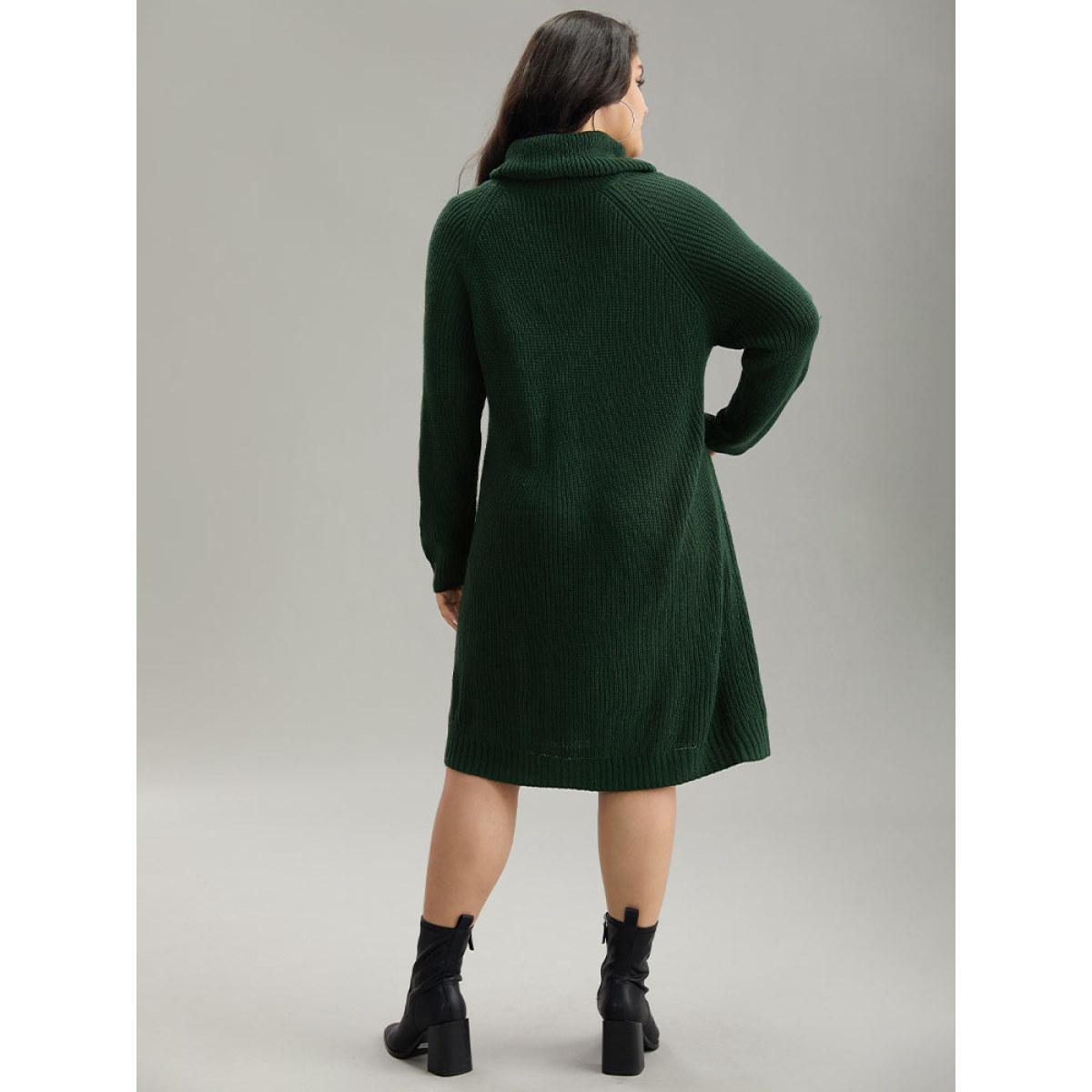 Plus Size Solid Plisse Turtle Neck Knee Sweater Dress DarkGreen Women Casual Loose Long Sleeve Festival-Christmas Sweater Dresses BloomChic 22-24/3X Product Image