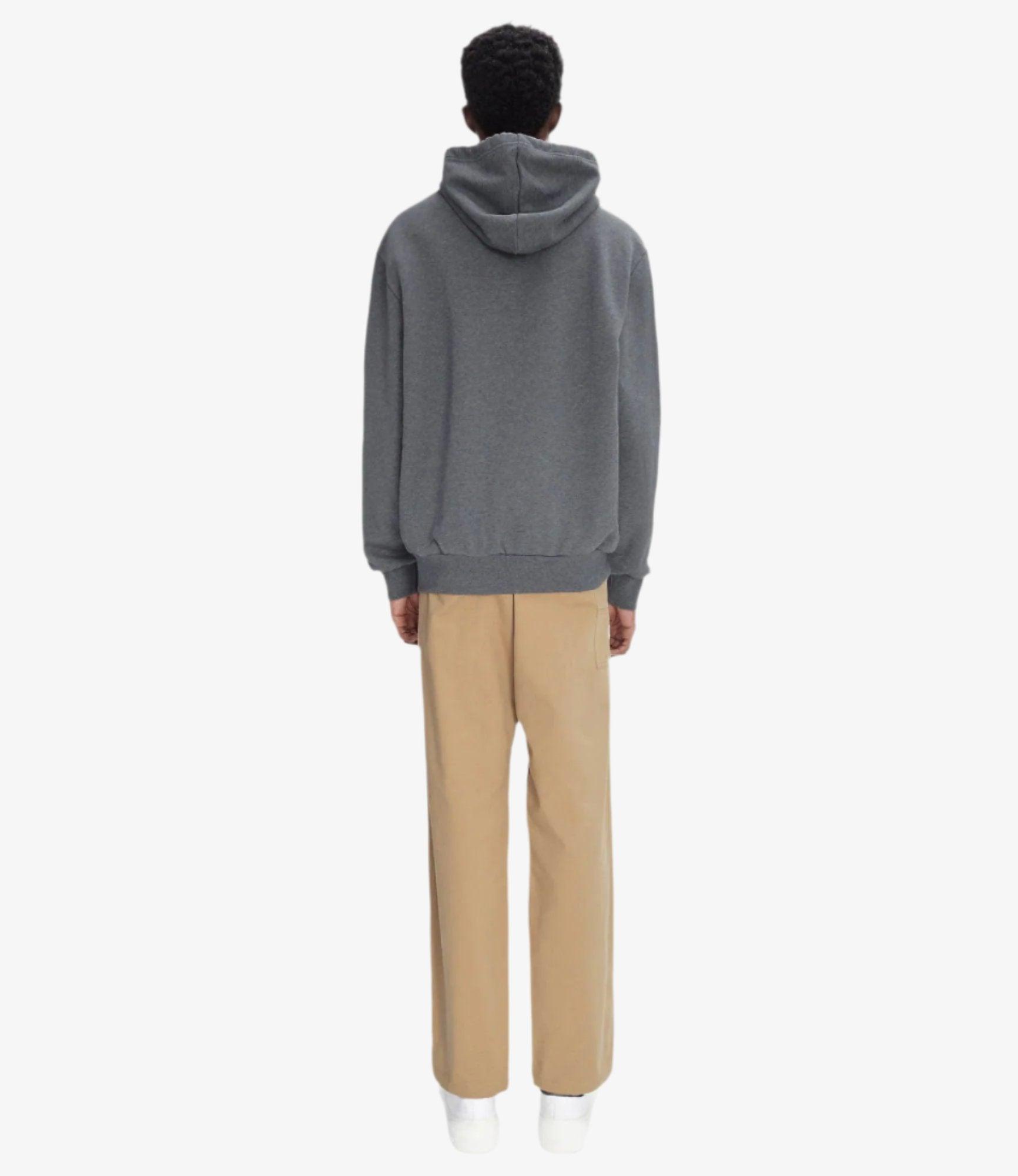 Boxy Petit VPC hoodie Product Image