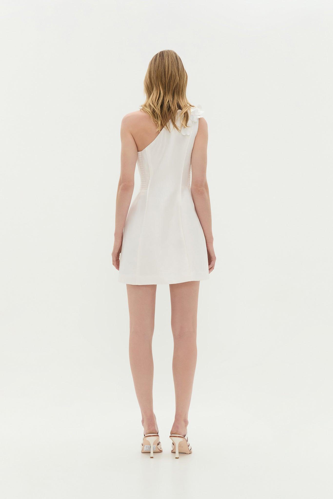 Camille Mini Dress Product Image