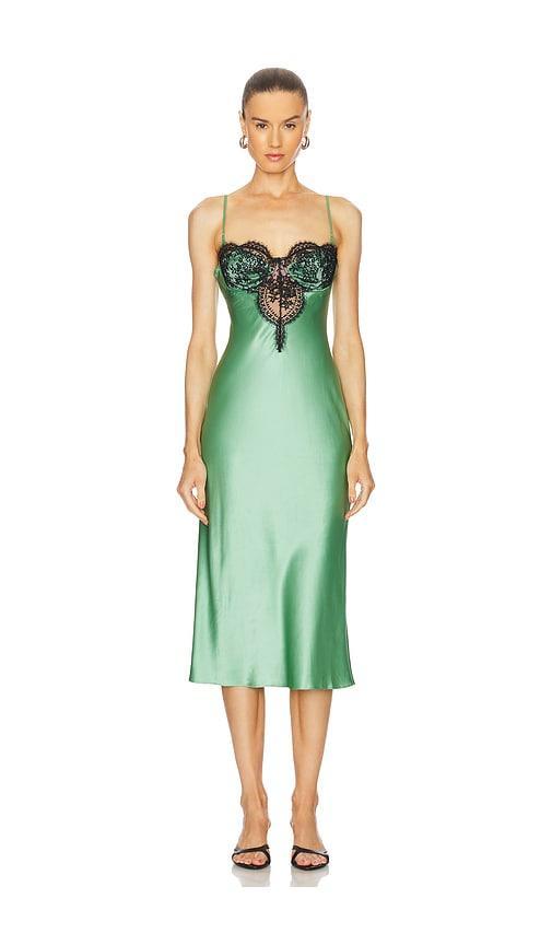 Frankie Lace Cupped Slip Dress fleur du mal Product Image