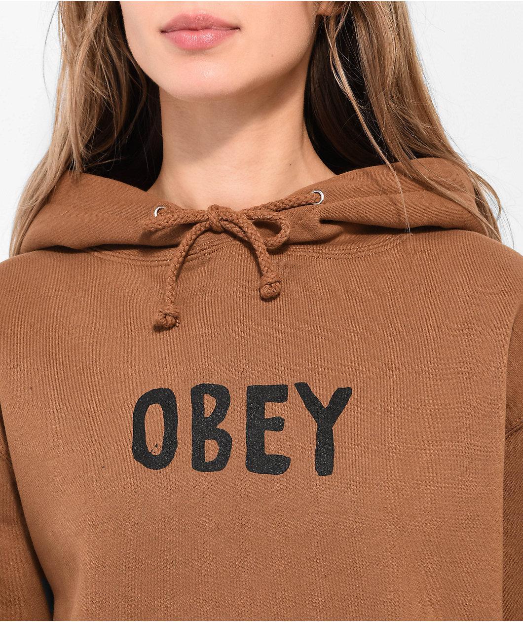 Obey Hong Kong Photo Brown Sugar Hoodie Product Image