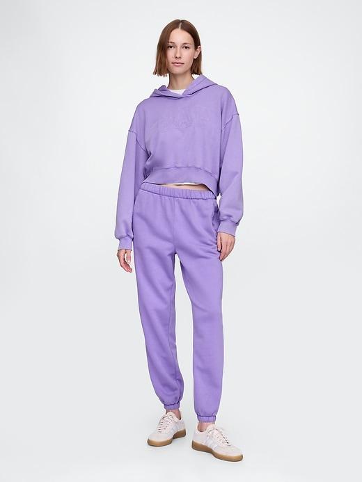 High Rise VintageSoft Boyfriend Joggers Product Image