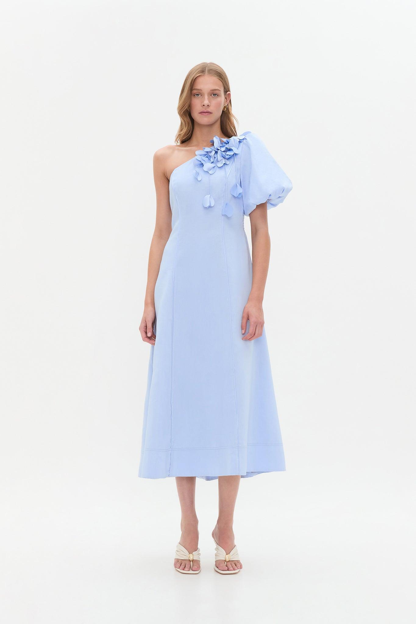Camille Midi Dress Product Image