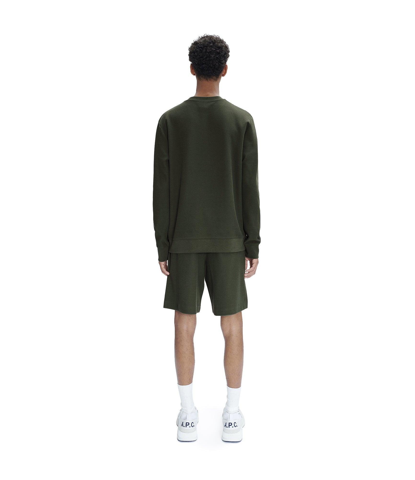 Lino shorts Male Product Image