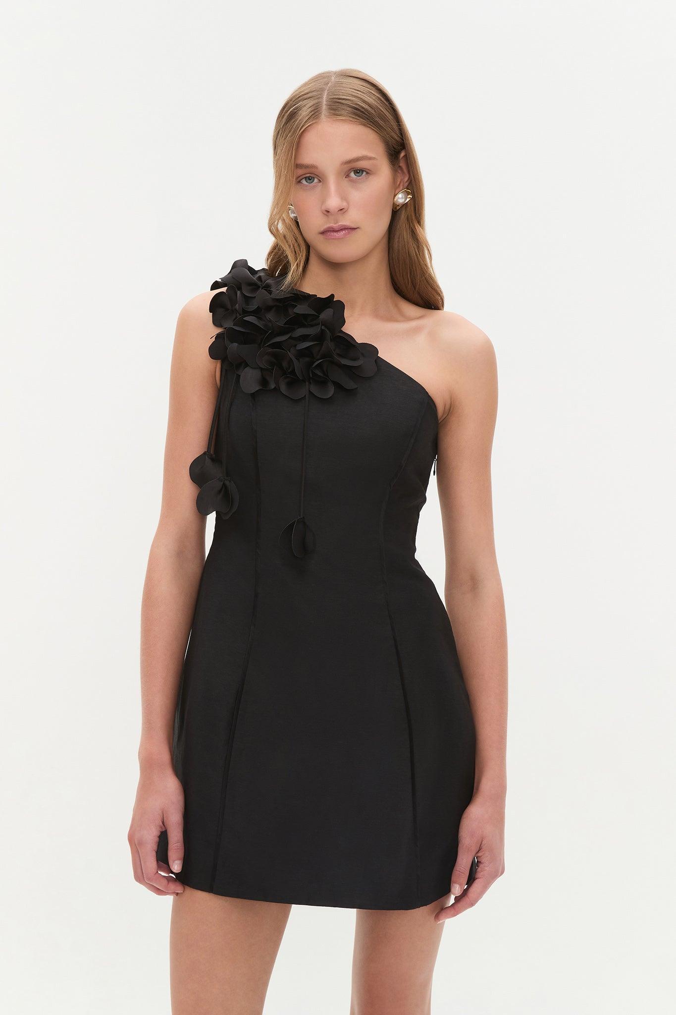 Camille Mini Dress Product Image