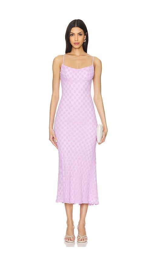 Adoni Mesh Midi Dress Product Image