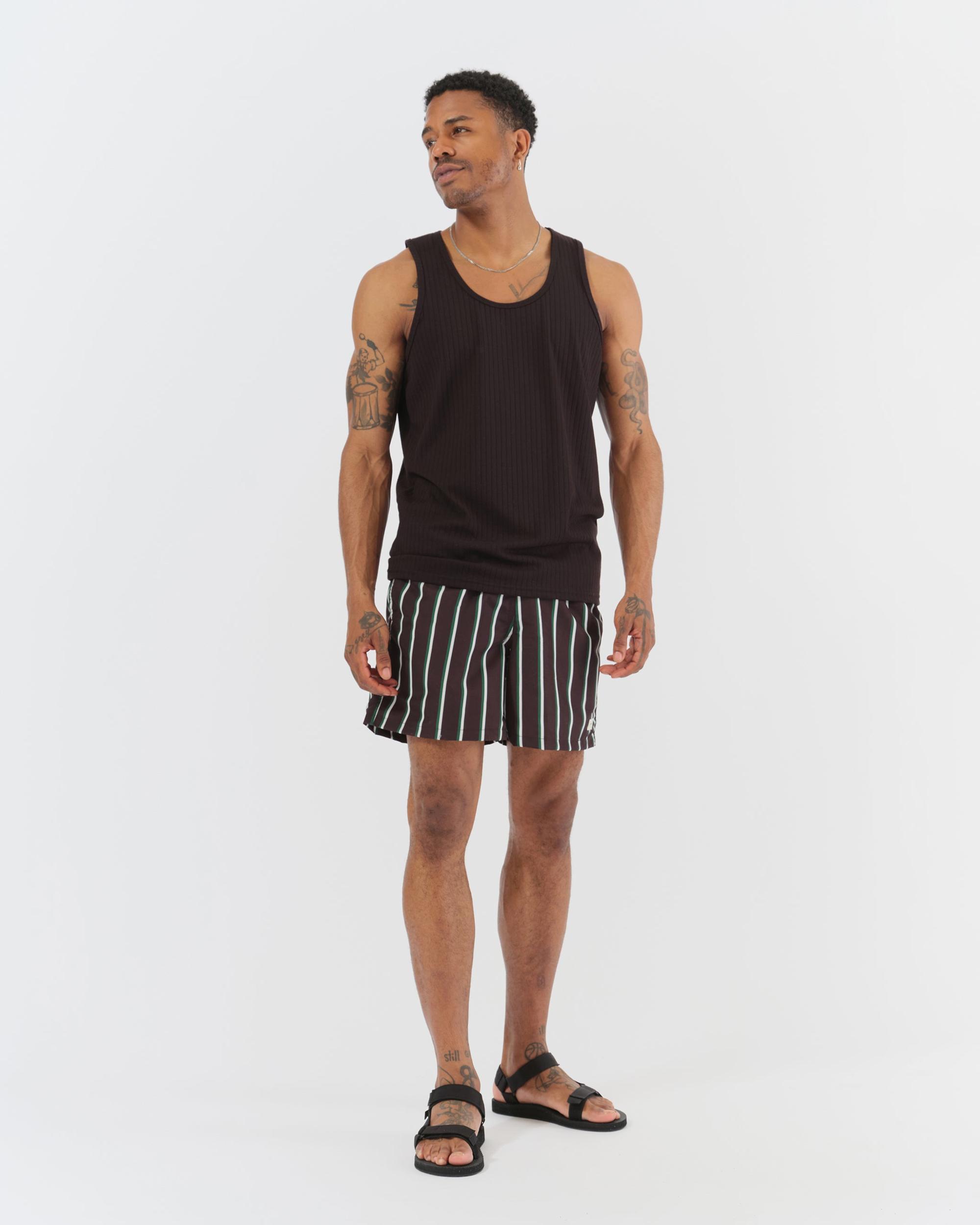 Green & White Fine Stripe Swim Trunk Product Image