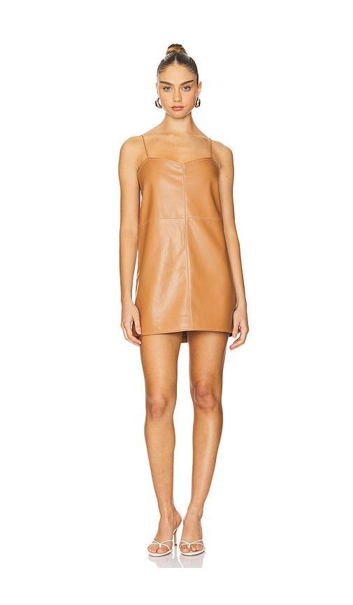Amery Dress Alexis Product Image