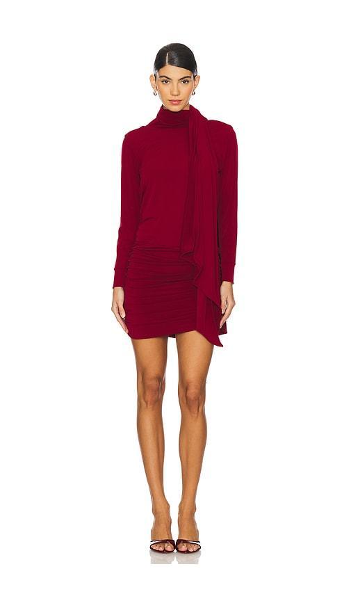 Gstaad Mini Dress Leslie Amon Product Image