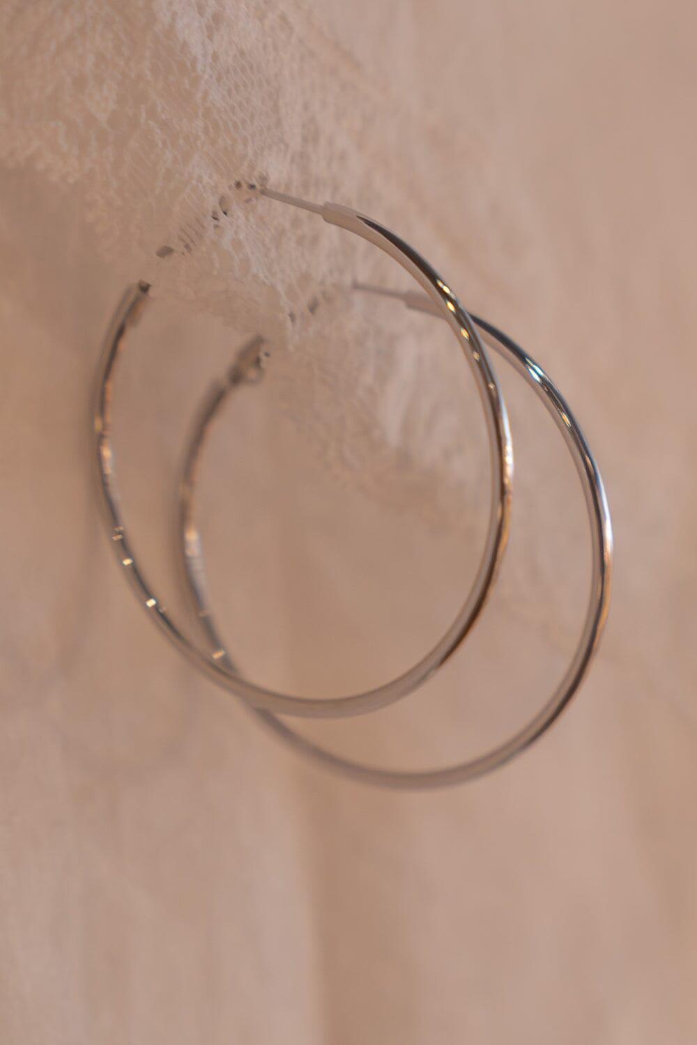 Hoop Earrings Product Image