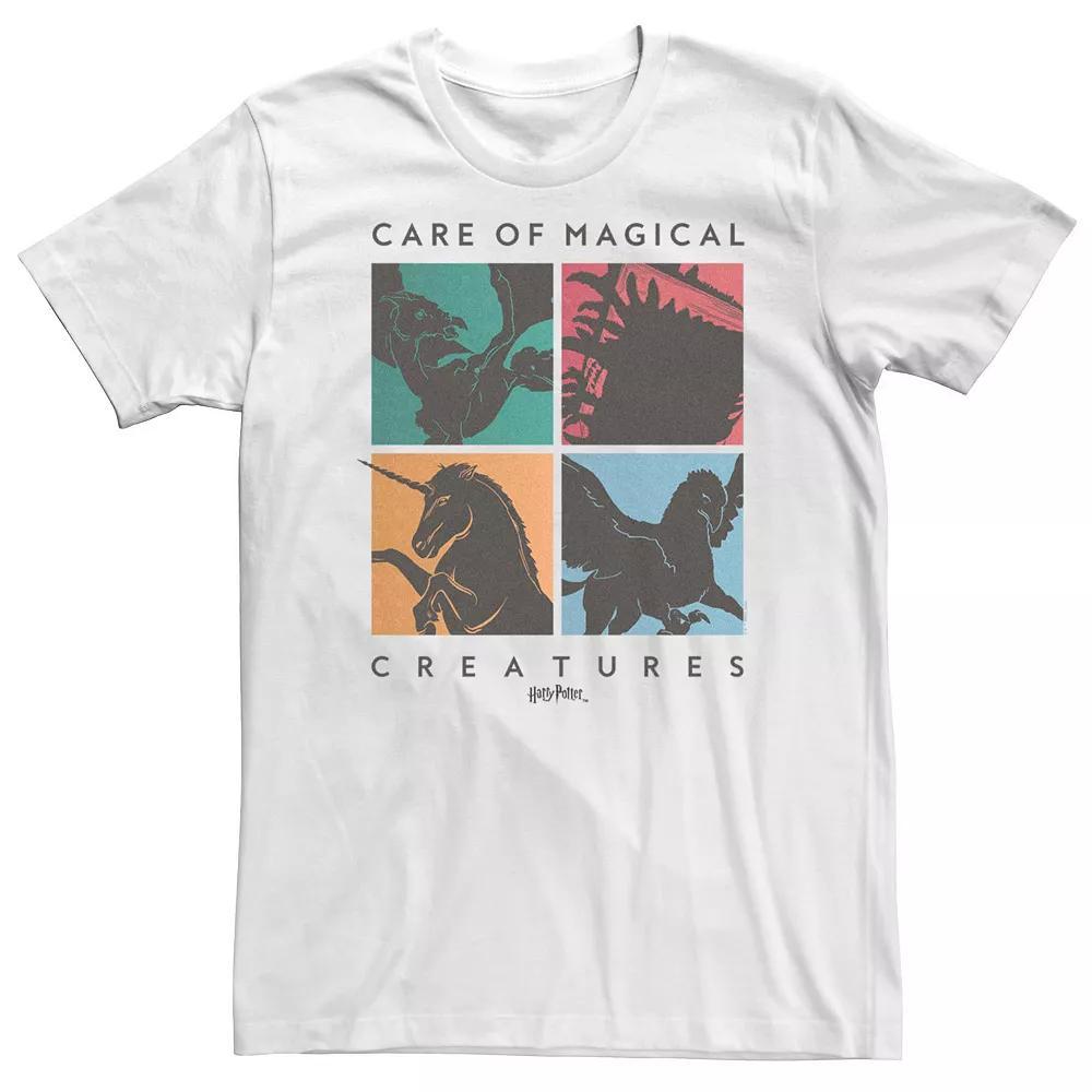 Big & Tall Harry Potter Deathly Hallows 2 Care Of Magical Creatures Panel Tee, Men's, Size: XXL Tall, White Product Image