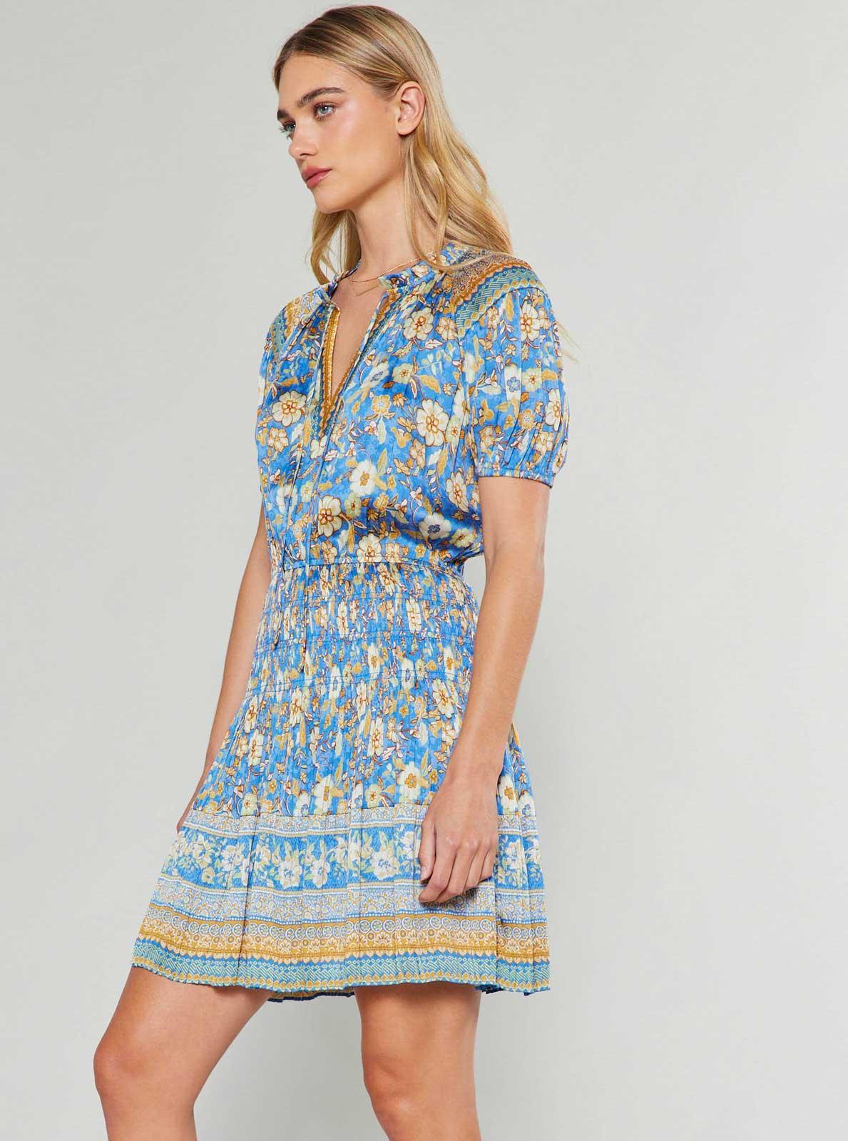 Border Printed Pleats Mini Dress Product Image