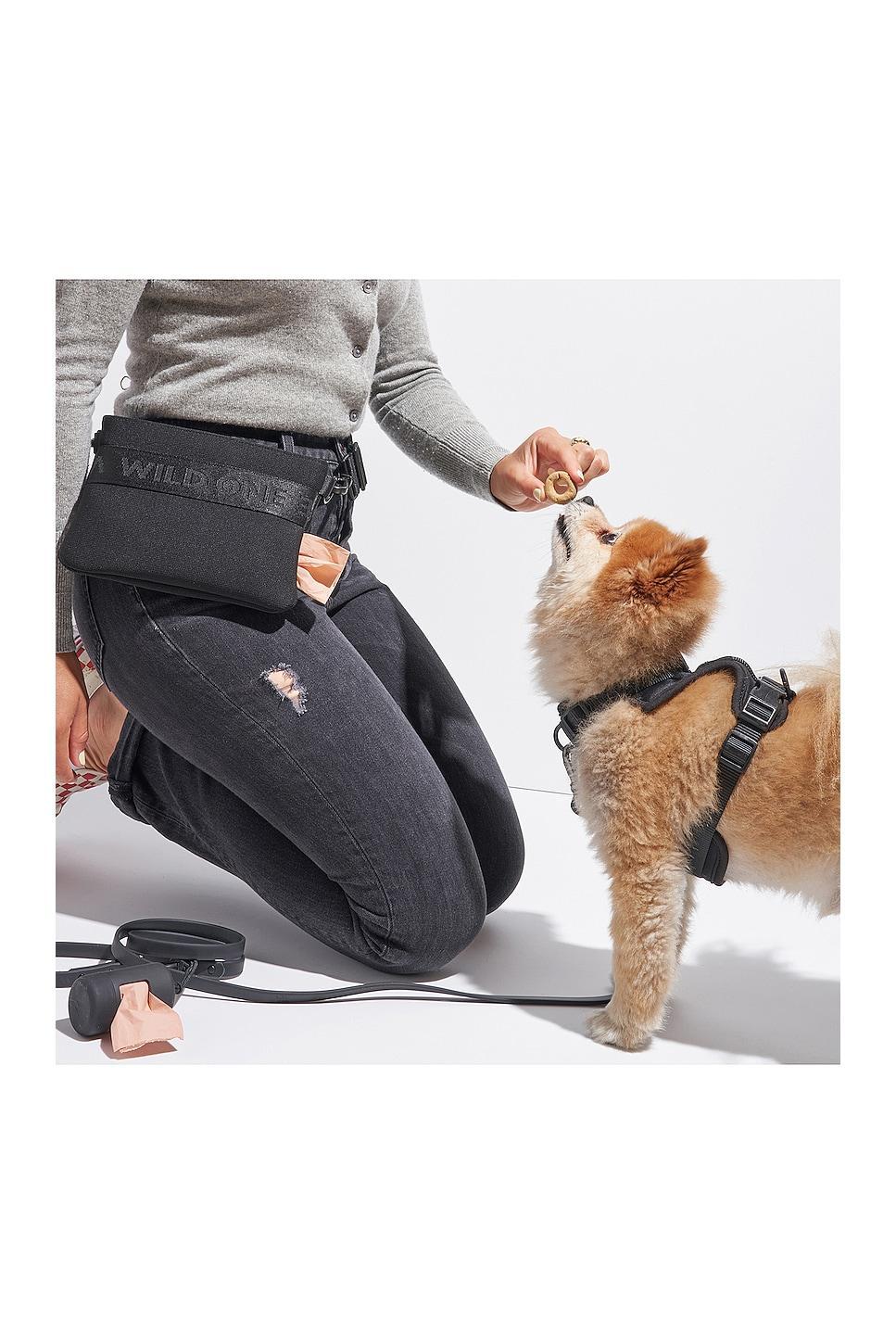 Treat Pouch Wild One Product Image