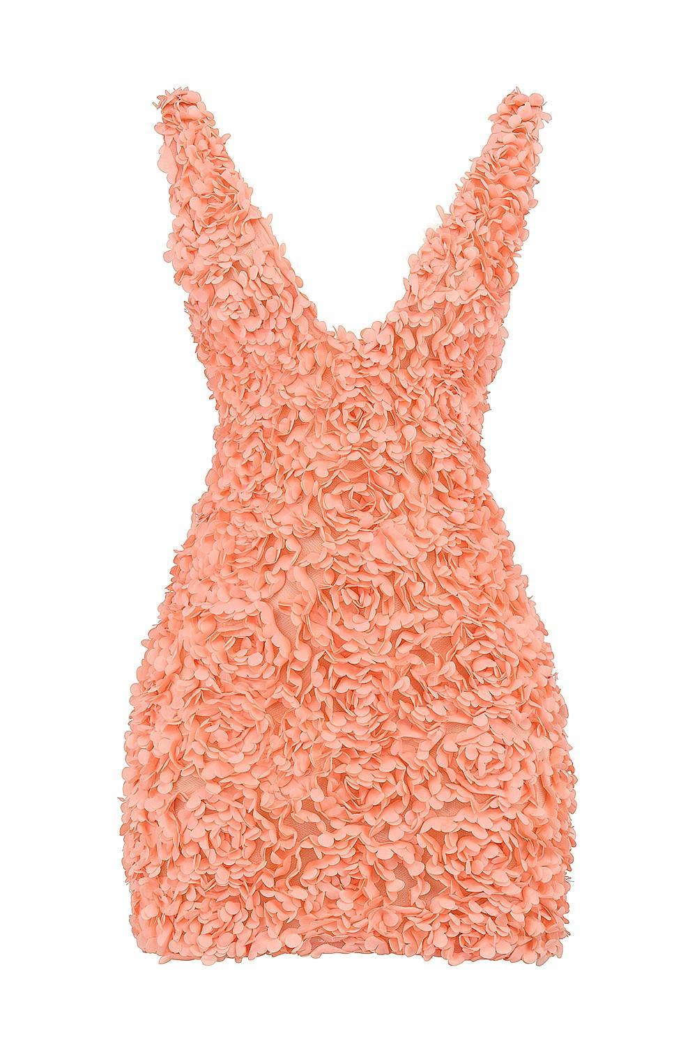 Faena  sorbet plunge floral appliqué mini dress Product Image