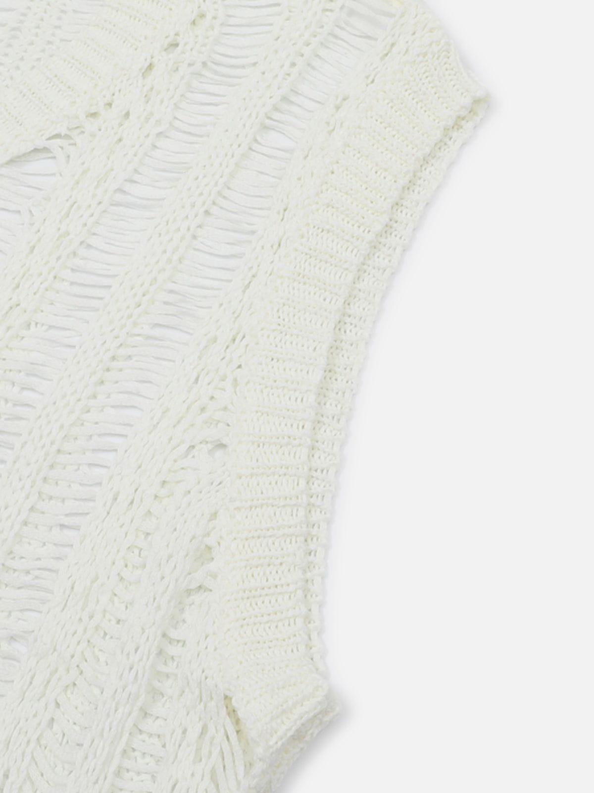 Aelfric Eden Open Knit Tassel Sweater Vest Product Image