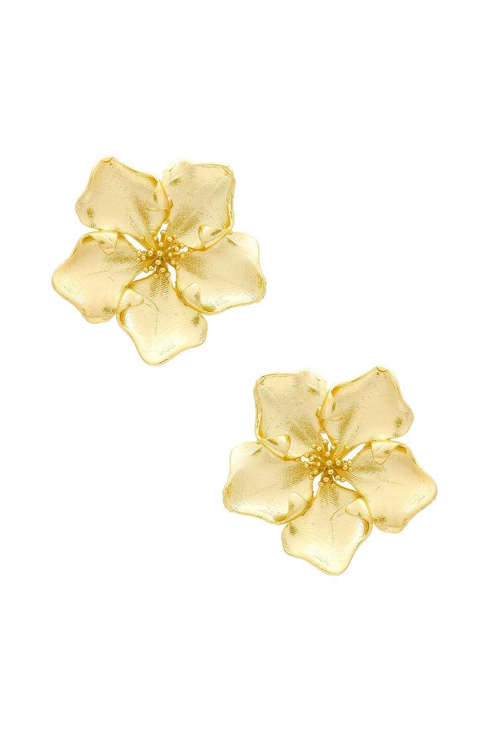 Iys Earring SHASHI Product Image