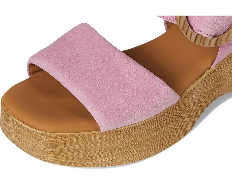 Gabor Product Image