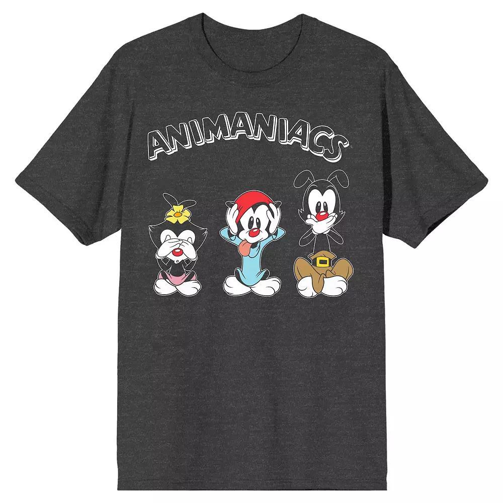 Men's Animaniacs Siblings Graphic Tee, Size: Large, Gray Product Image
