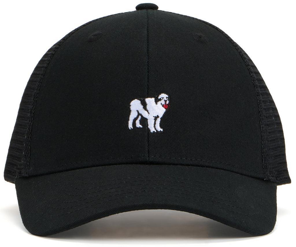 Icon Trucker Hat Product Image