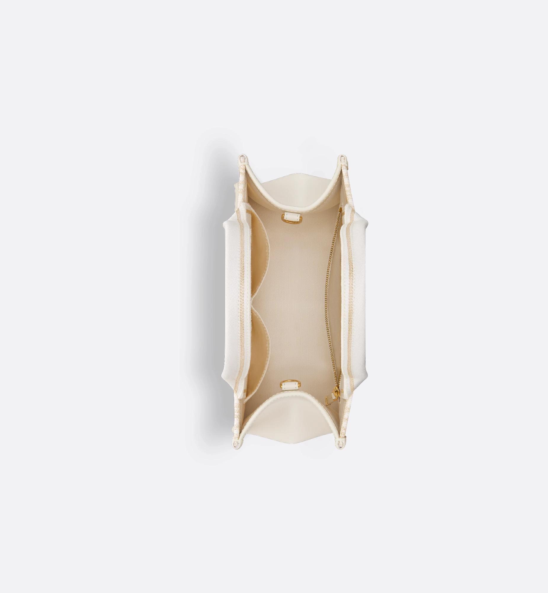 Small Dior Book Tote Product Image