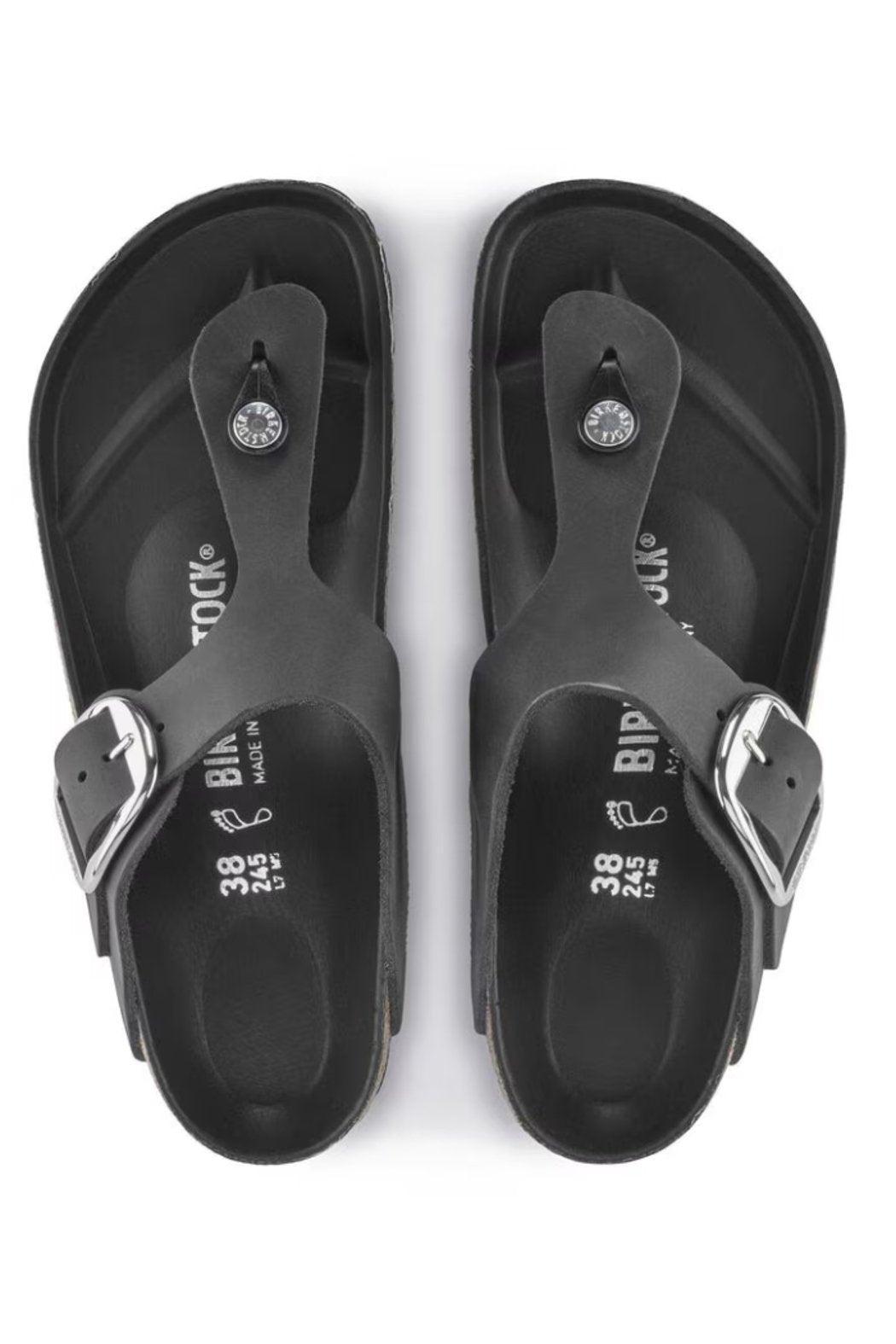 Gizeh Big Buckle Regular Width in Oiled Leather Black Product Image