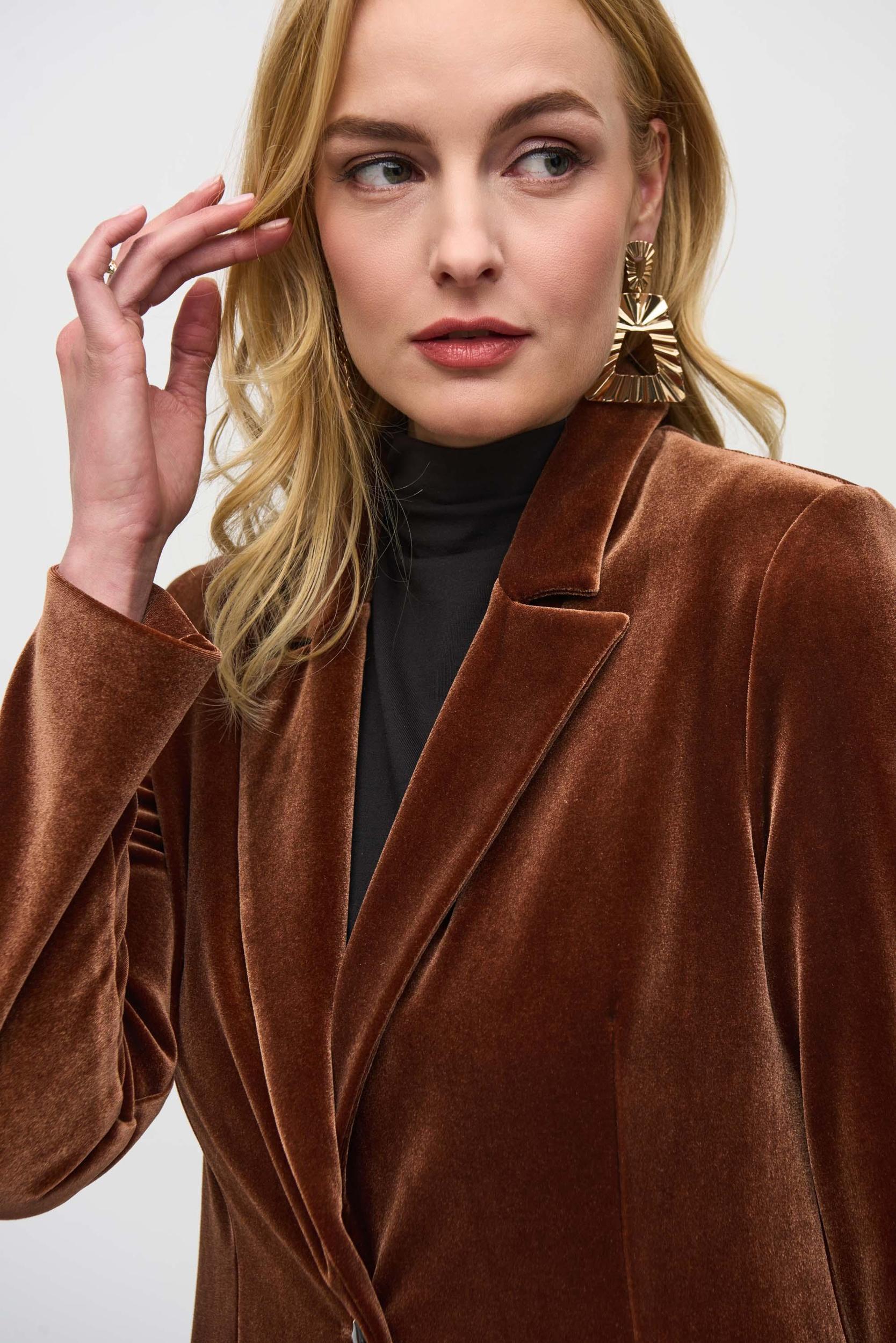 Velvet Fitted Blazer -Brown Product Image