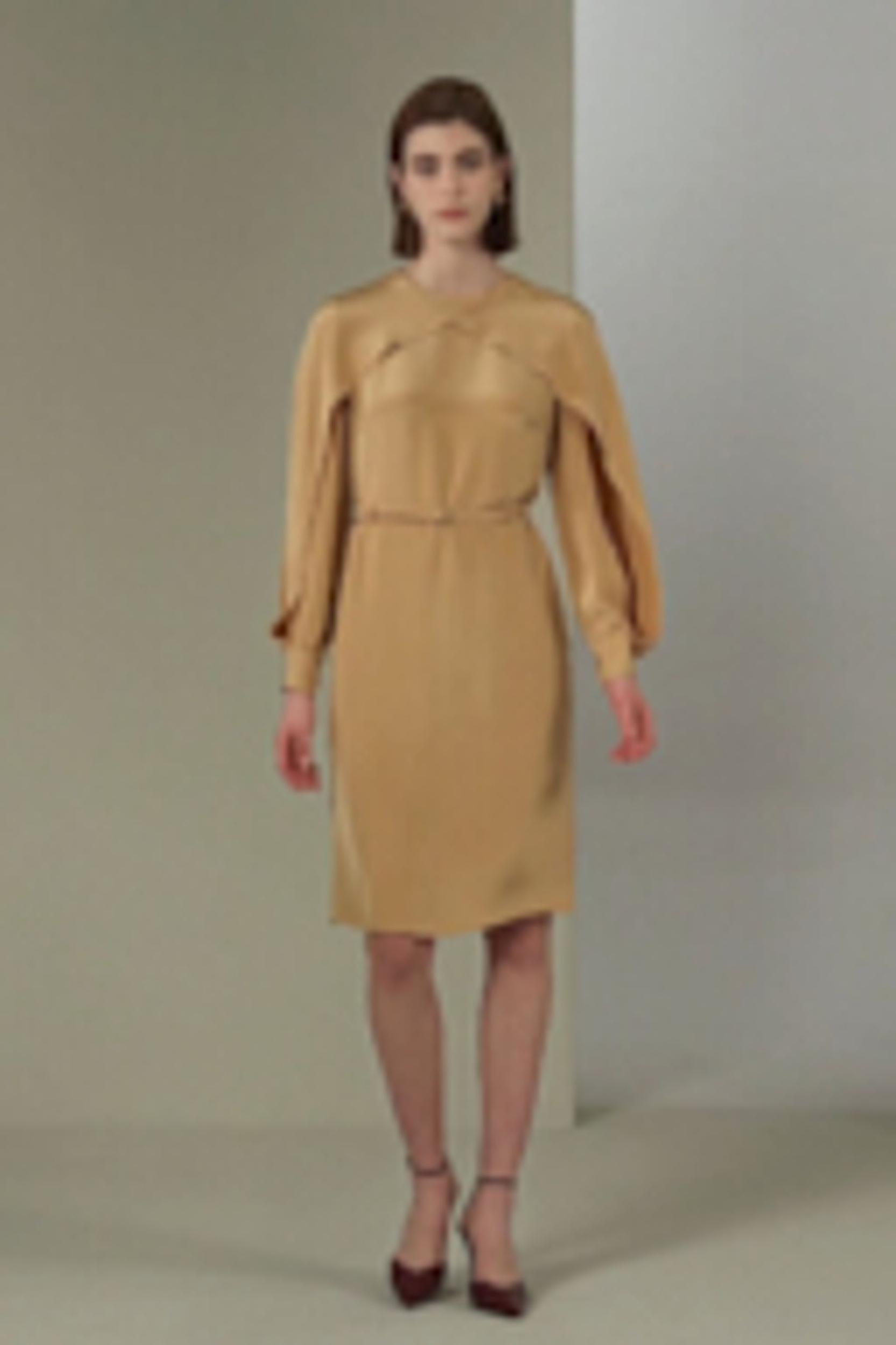 Carissa Side Slit Lantern Sleeve Dress Product Image
