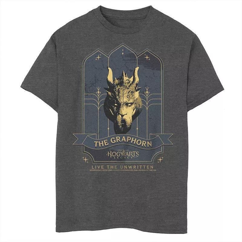 Boys 8-20 Harry Potter Hogwarts Legacy The Graphorn Tee, Boy's, Size: Small, Grey Heather Product Image