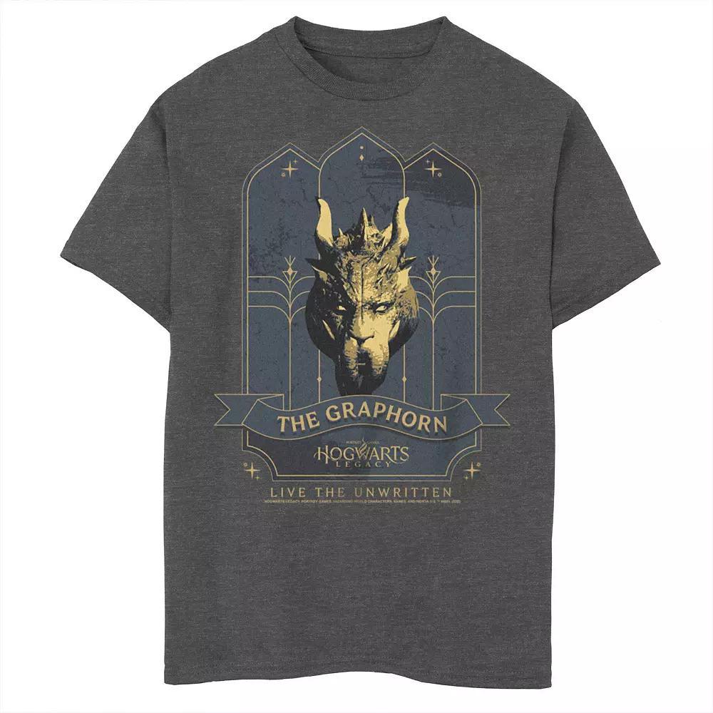 Boys 8-20 Harry Potter Hogwarts Legacy The Graphorn Tee, Boy's, Size: Small, Grey Heather Product Image