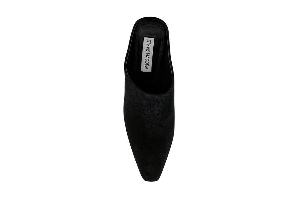 Steve Madden Davie Suede) Women's Slippers Product Image