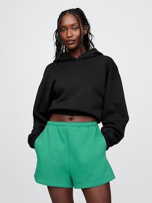 VintageSoft Arch Logo Cropped Hoodie Product Image