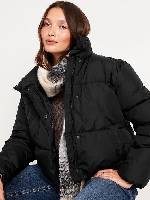 Quilted Puffer Jacket Product Image