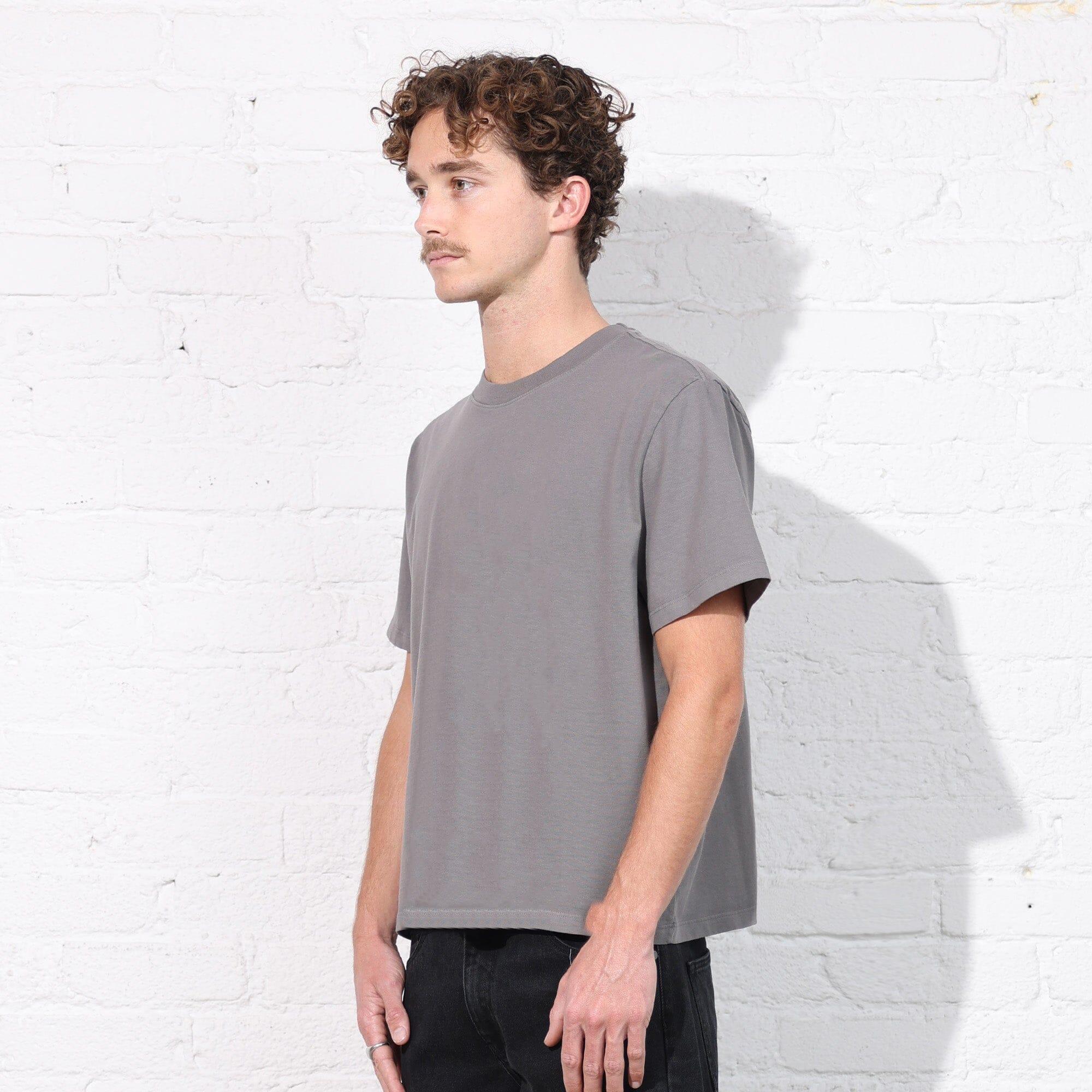 The Silverlake Crop Tee II Product Image