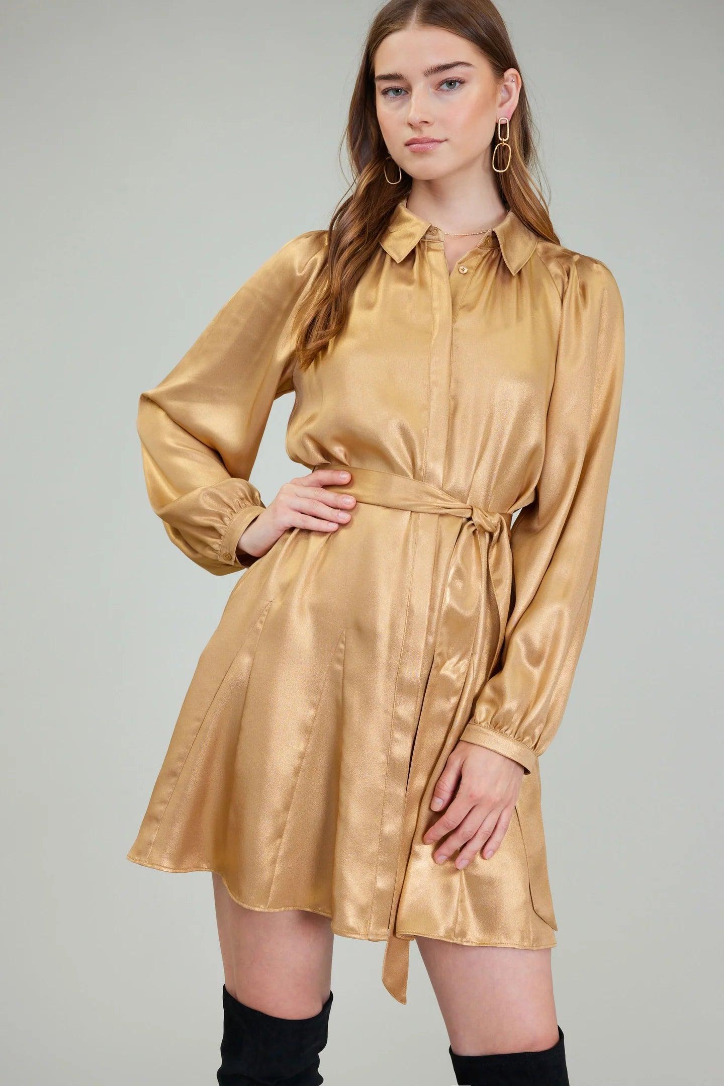 Perfect Fall Mini Dress Product Image