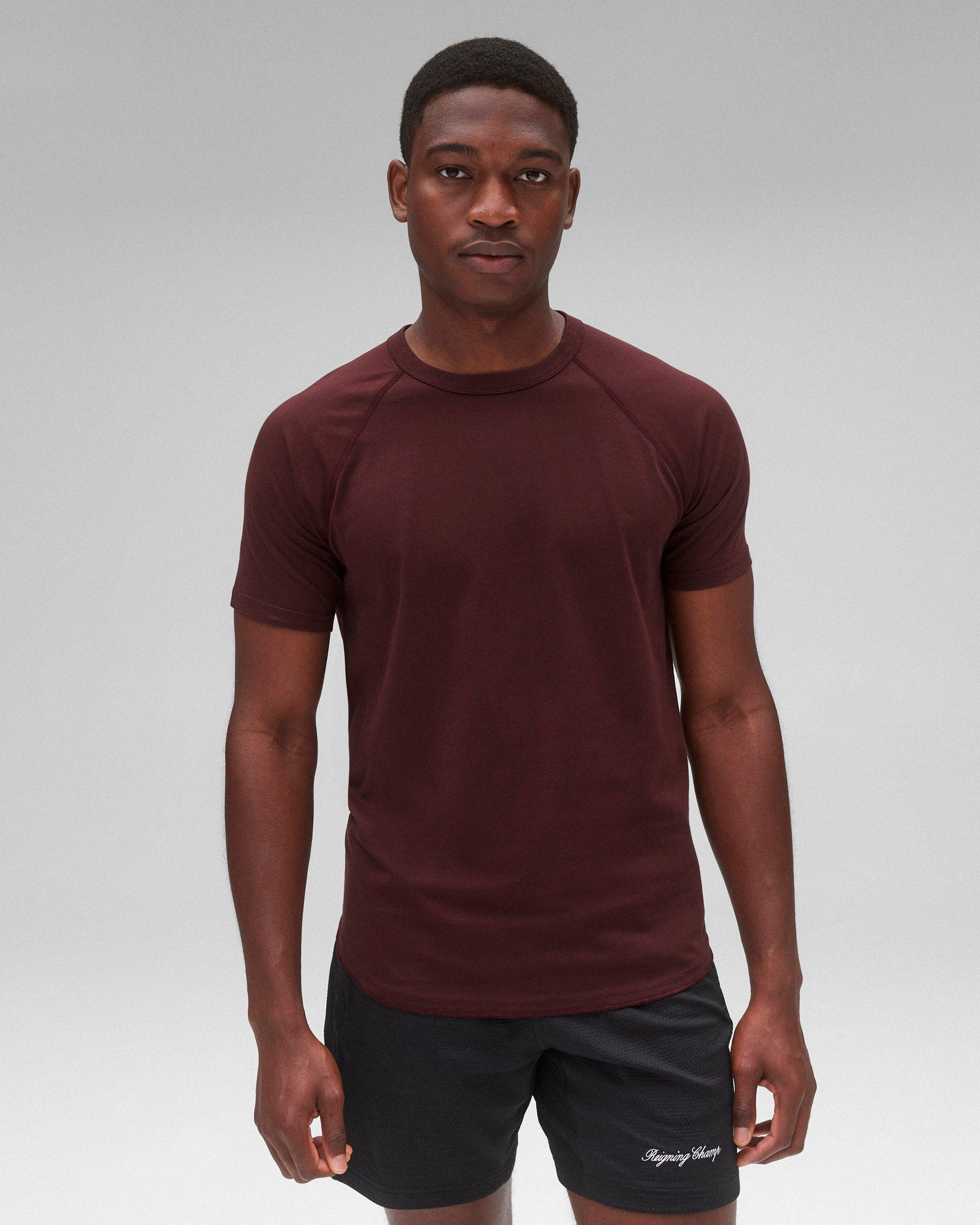 Lightweight Jersey Raglan T-Shirt - Vault Male Product Image