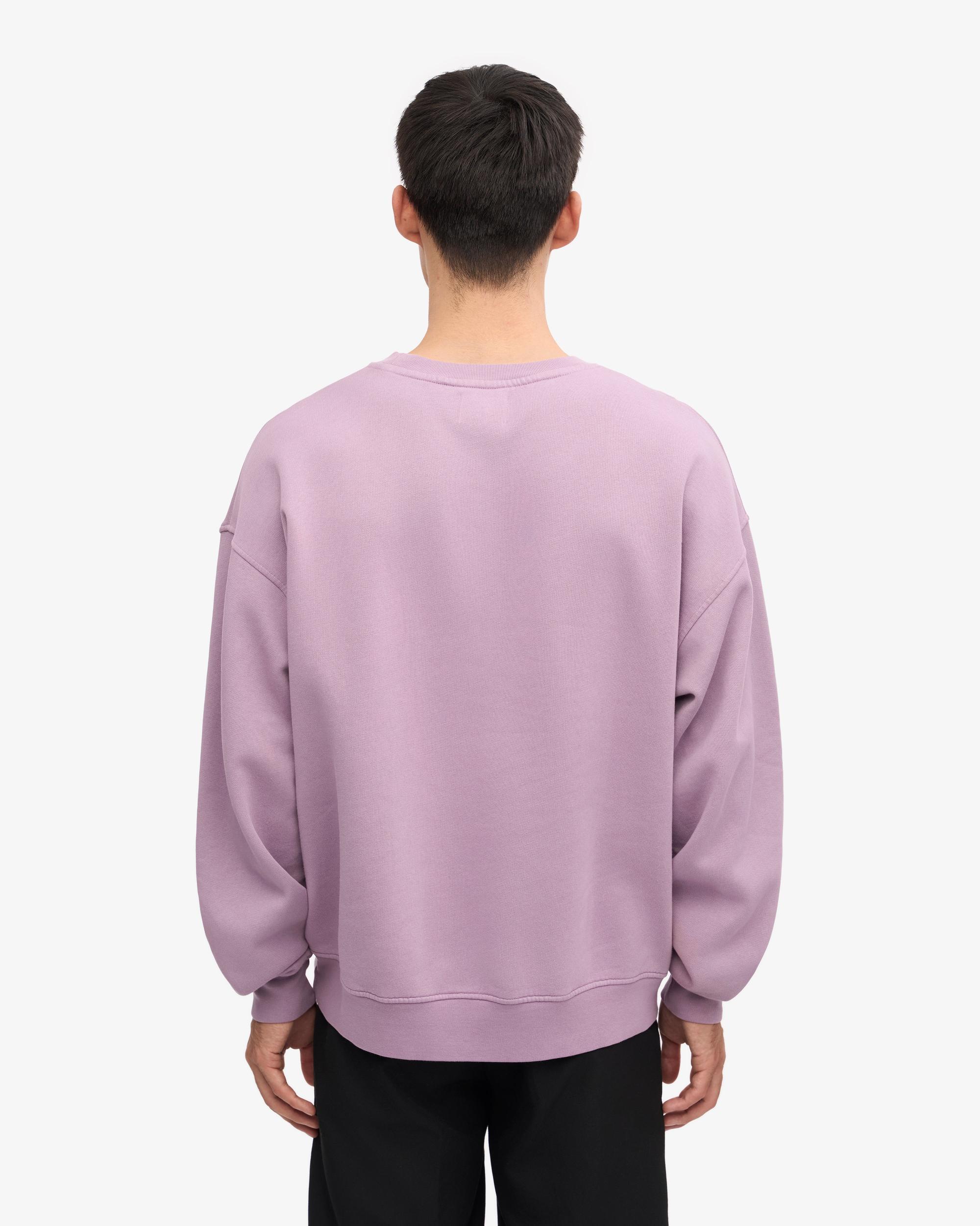 Organic Oversized Crew - Seaside Blue Product Image