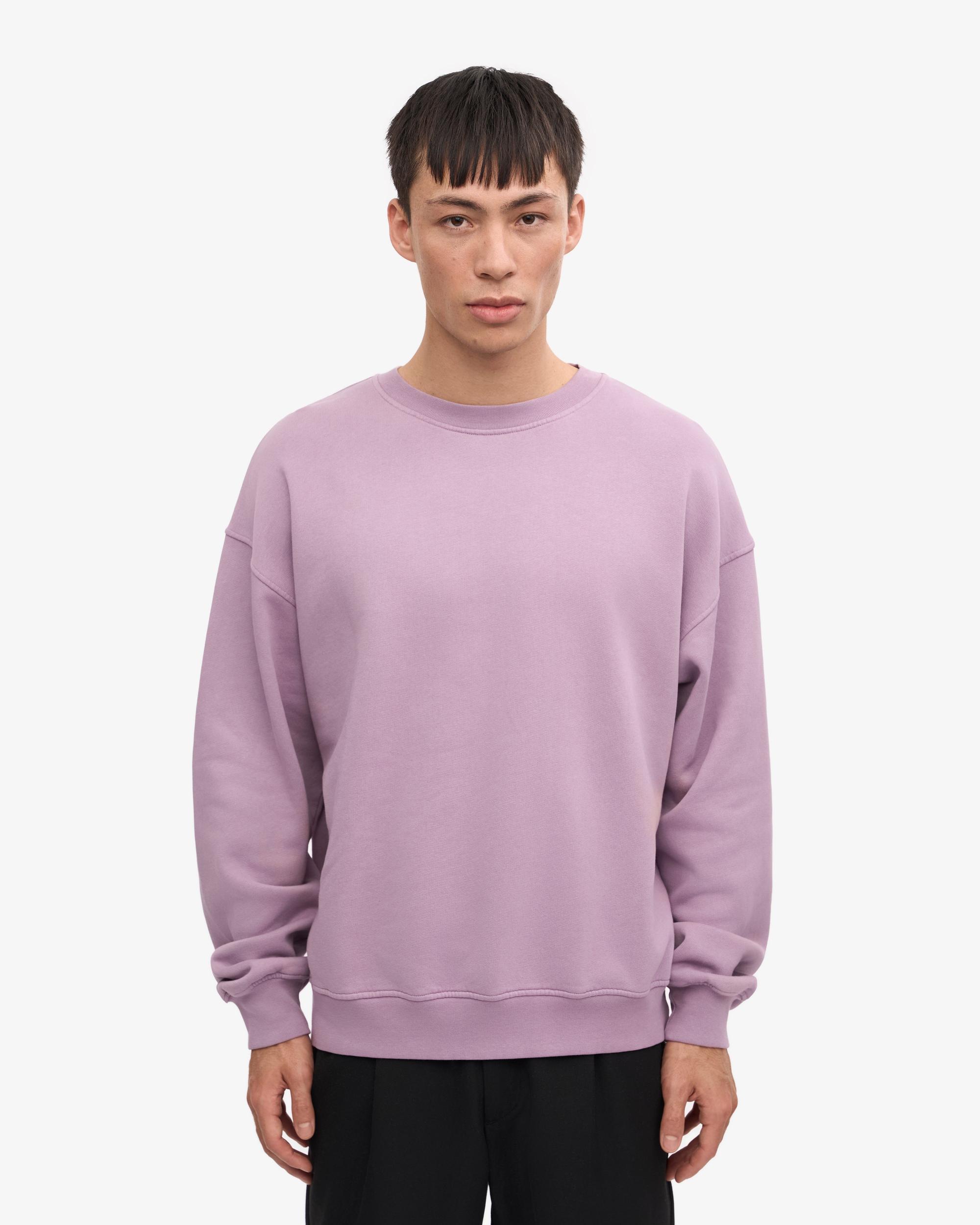 Organic Oversized Crew - Seaside Blue Product Image