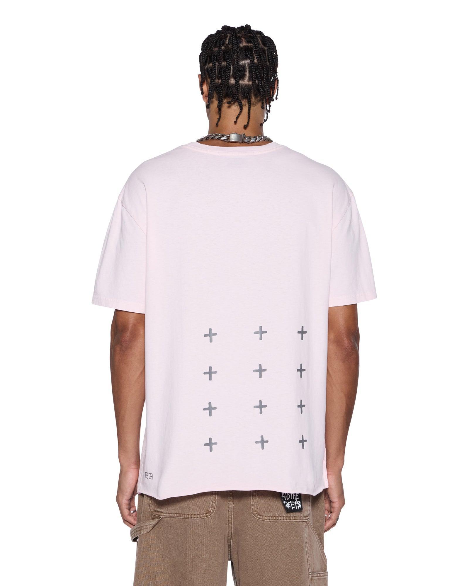 ALLDAY BIGGIE SS TEE ICE QUARTZ Male Product Image