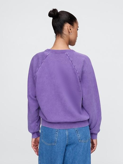 VintageSoft Raglan Sweatshirt Product Image