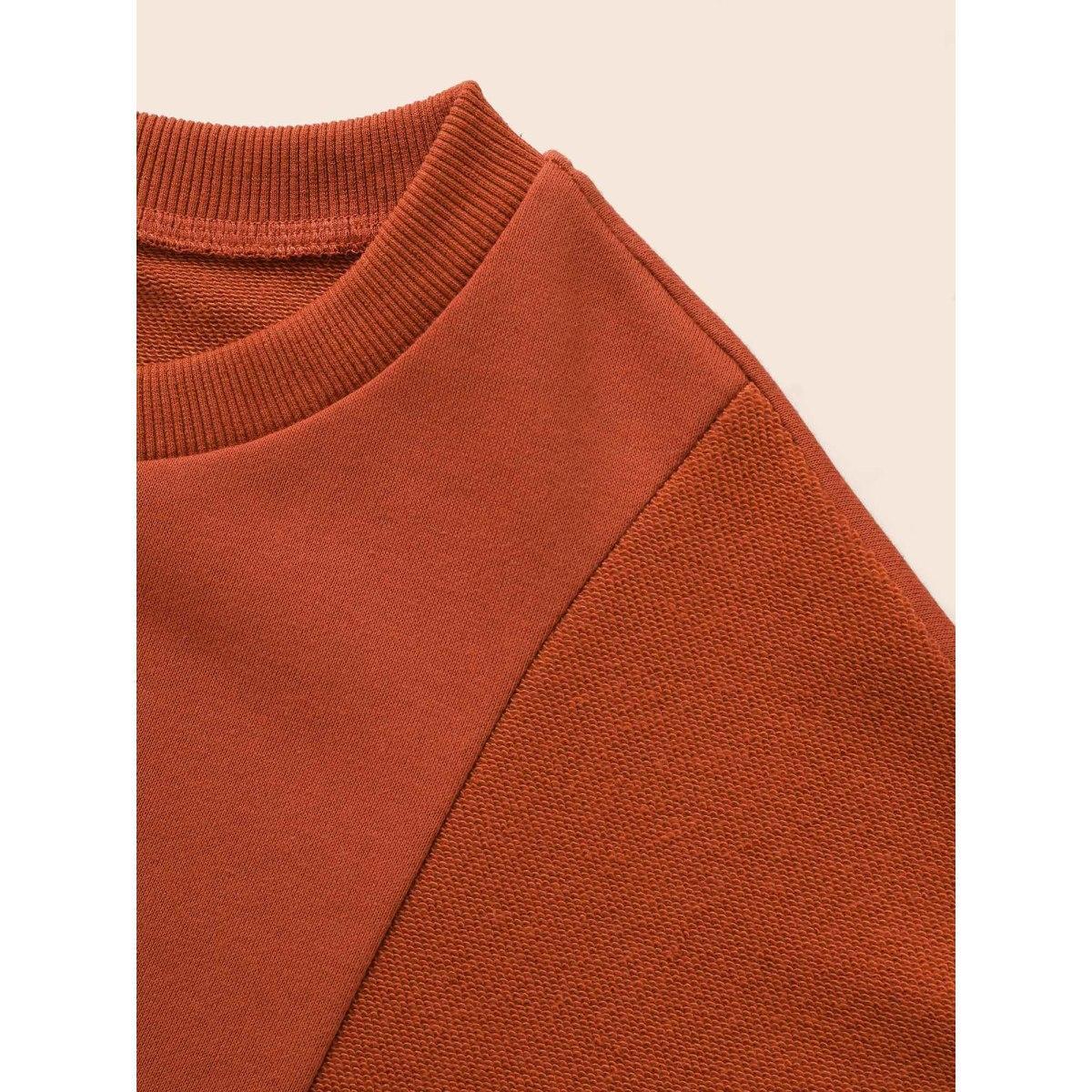 Plus Size Round Neck Patchwork Drop Shoulder Sweatshirt Women Rust Casual Patchwork Round Neck Everyday Sweatshirts BloomChic 18-20/2X Product Image
