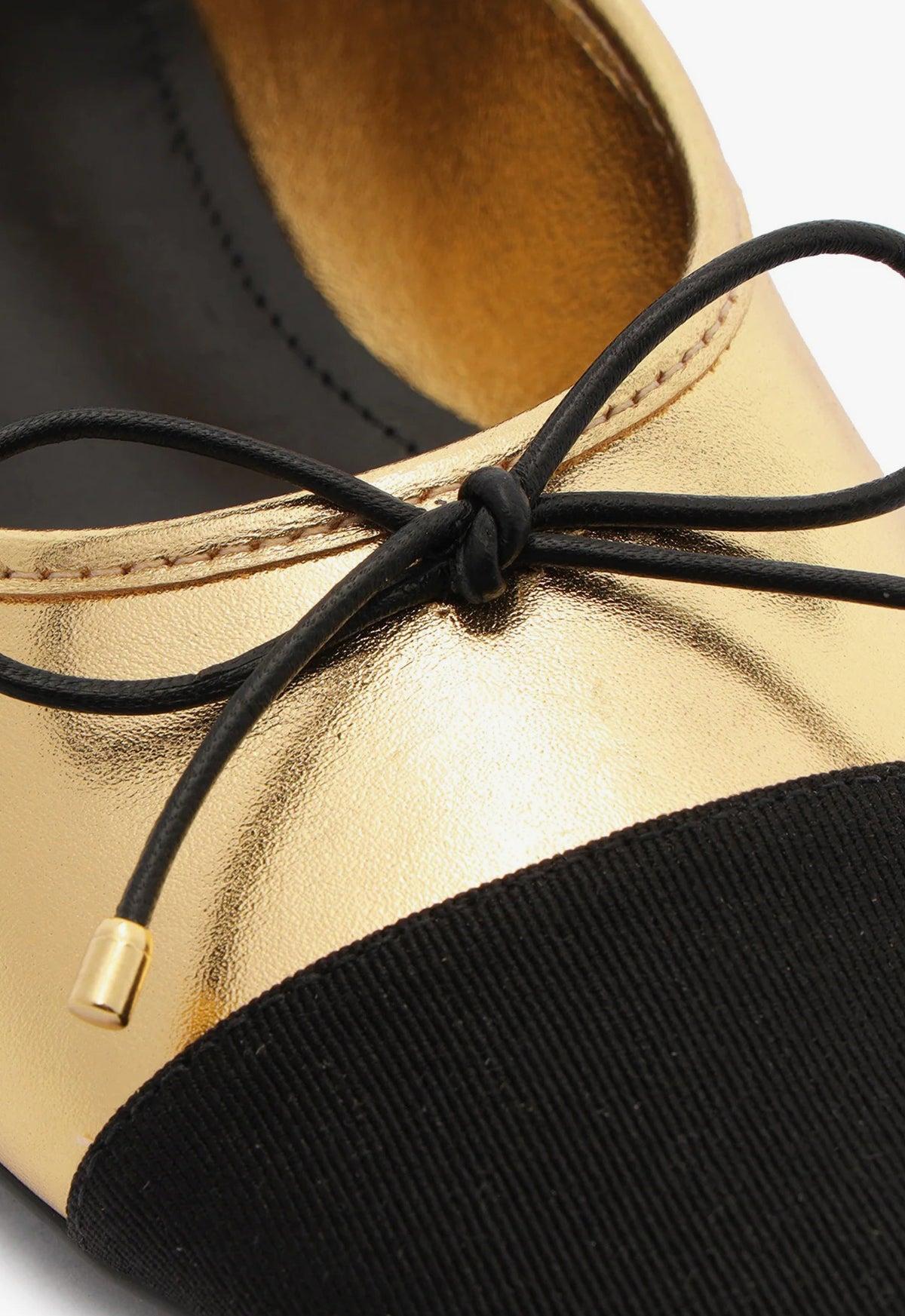 Arissa Metallic Leather Flat Product Image